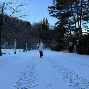 〈卜算子‧記日本東北雪景〉