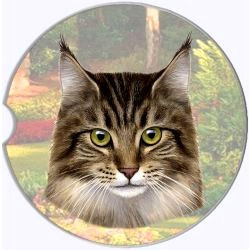 Thumbnail: Tabby cat face with green eyes