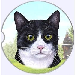 Thumbnail: Black and white cat with green eyes
