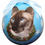 Thumbnail: Cat Christmas Ball Ornaments by E&S Pets