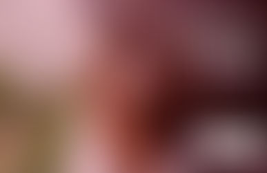 Do dado científico ao projeto de lei: enganos de todos os lados