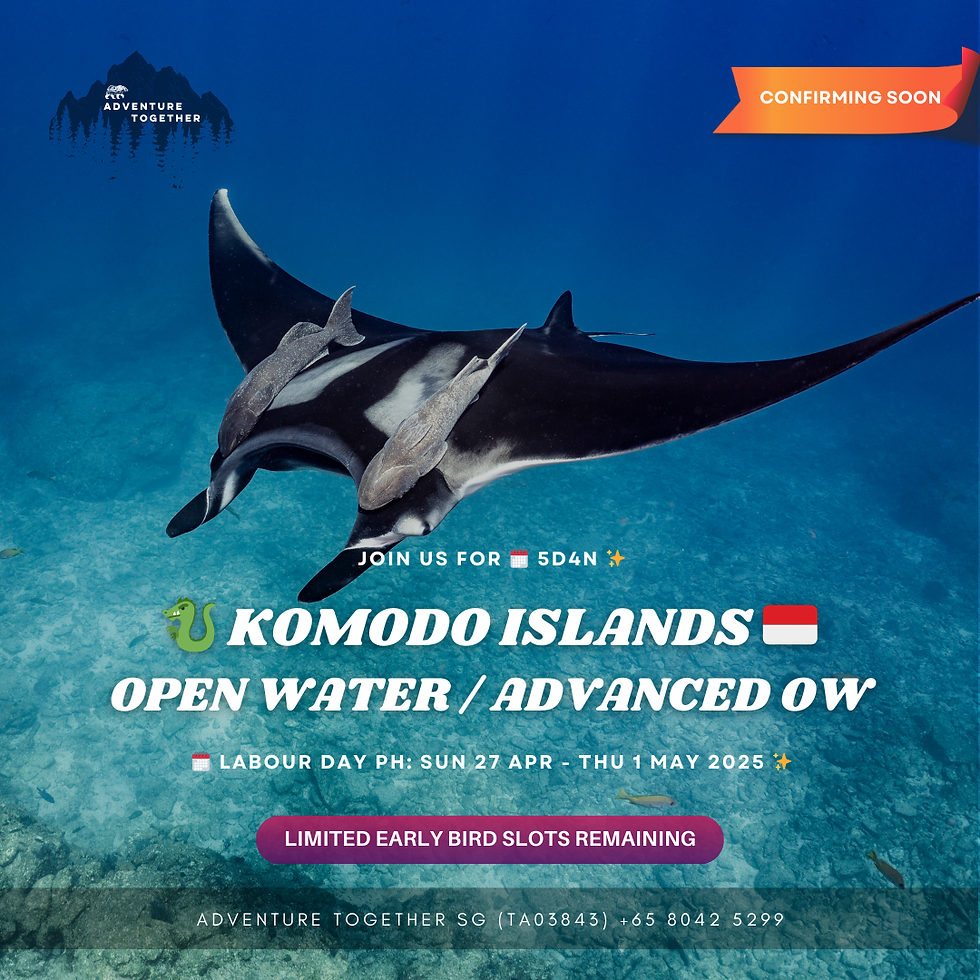 Komodo Open Water / Advanced Open Water