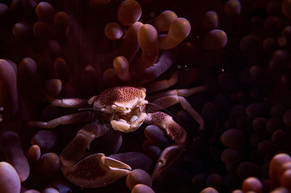 Screenshot 2024-03-28 at 2.39.11 PM.png