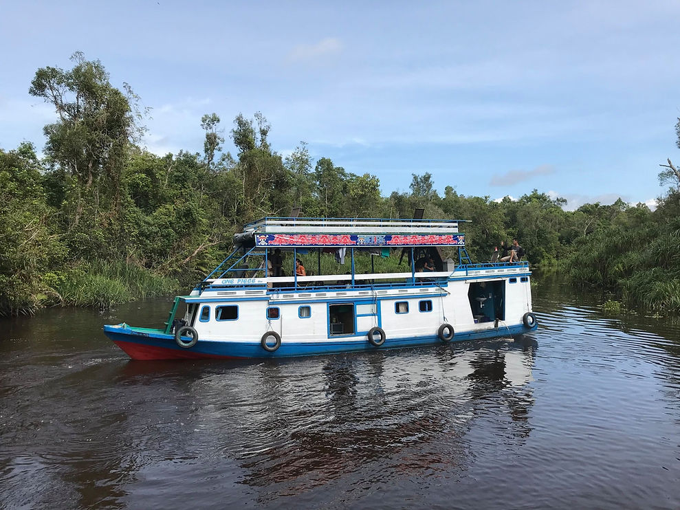 Short Trips Singapore - Long Weekend Getaway - Adventure Together - Orangutan River Safari