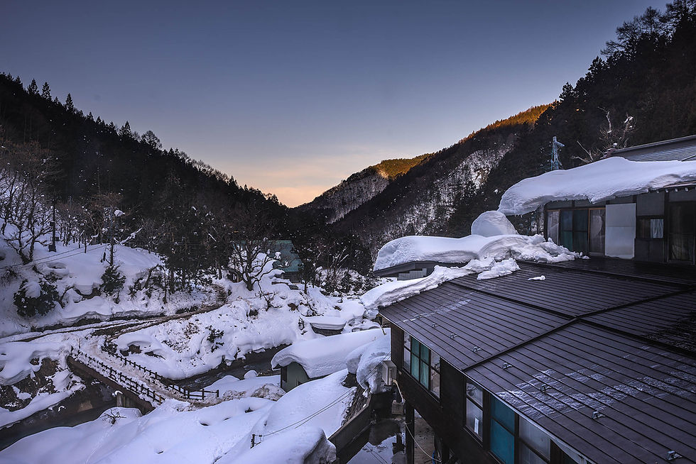 Sg Wildlife Photographer - Jigokudani Snow Monkey Park Onsen - StellarPhoto.sg - 009.jpg