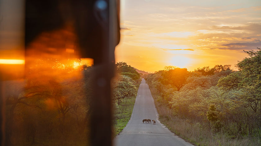 20251019 - Kruger - DSC_0690.jpg