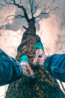 Dynamocks Socks Voyager