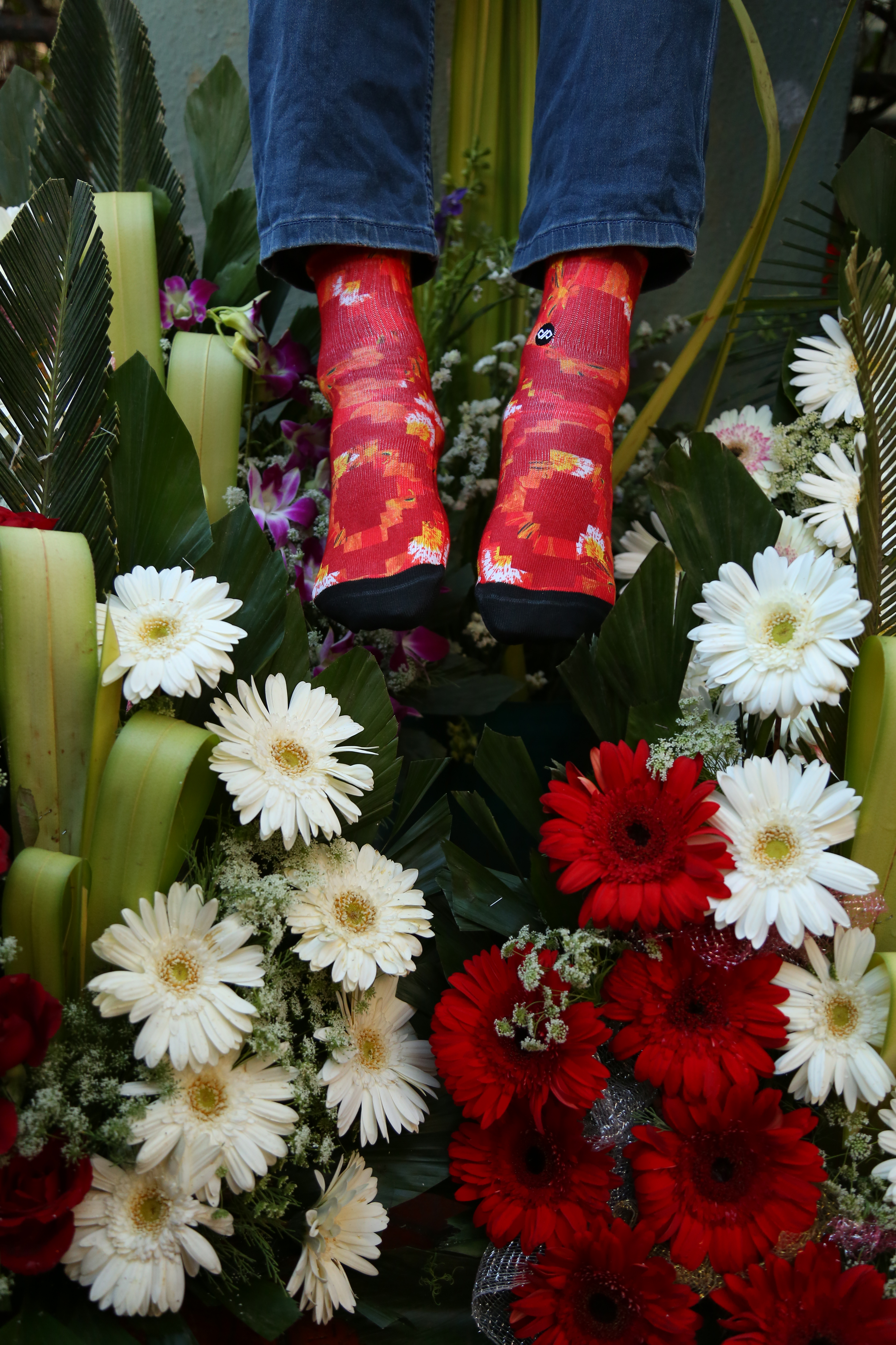 Poinciana - Quarter Ankle Socks