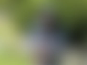 つまり確信的妄想という作業
