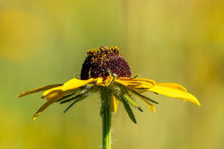 107766146_2734449983493352_7007830069394