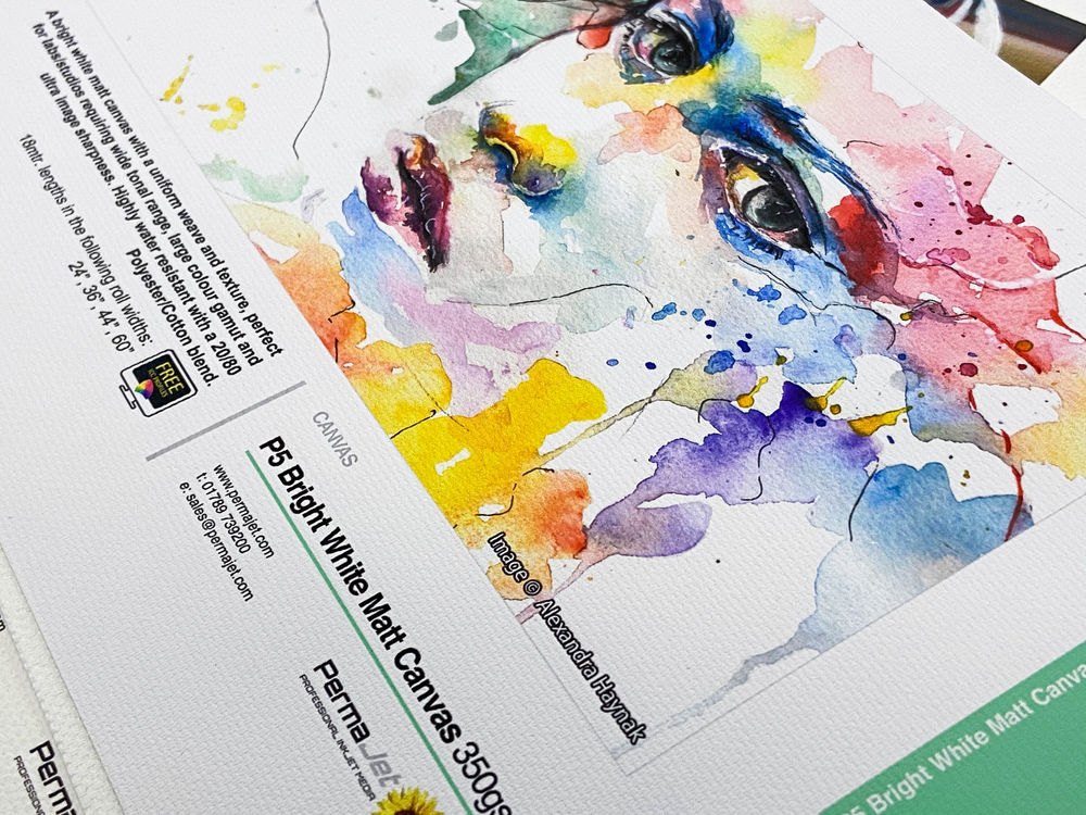 Which Inkjet Canvas Is Right For You?