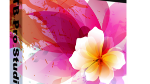 TWISTEDBRUSH PRO STUDIO GRATIS FINO AL 28/9 ALLE 8