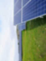 Image by Mariana Proença