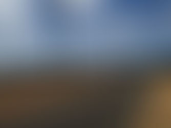 Spotlight on Geelong