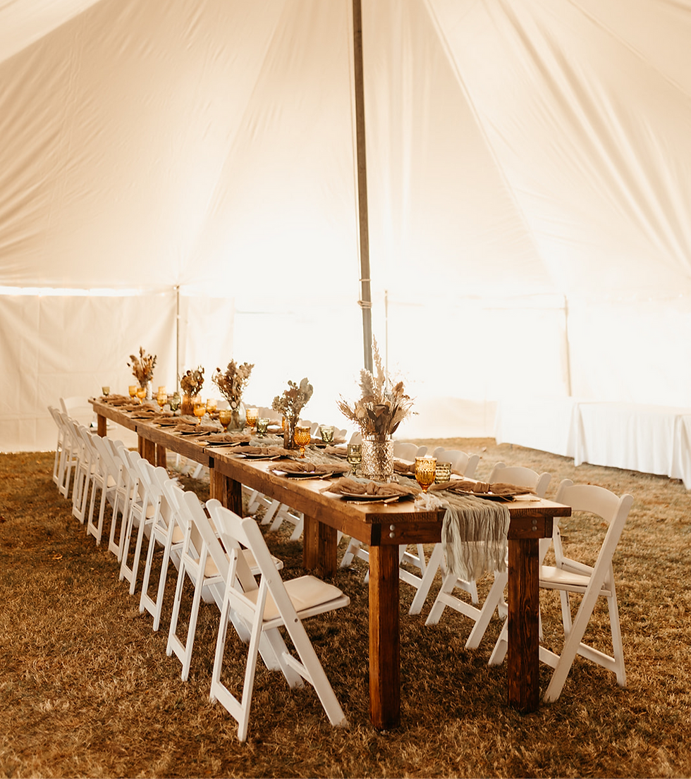 Reception Under the Tent