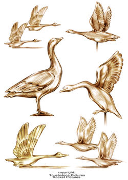 gnomeo and juliet 018.JPG