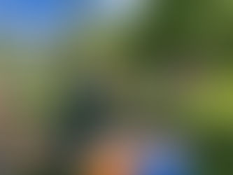 Local Seminar in Latvia