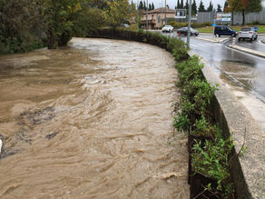 GUADELONE : Ils sont exaspérés