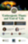DNGR-Friendraiser-flyer-2021June28c.jpg