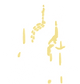 資產 2@3x.png