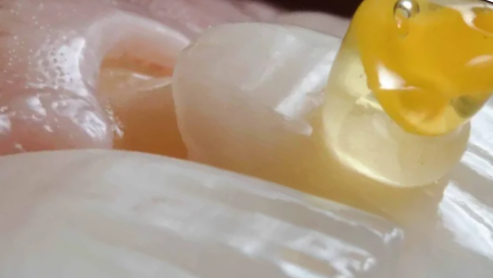 Mastering Veneers, Crowns & Biomimetic Restorations