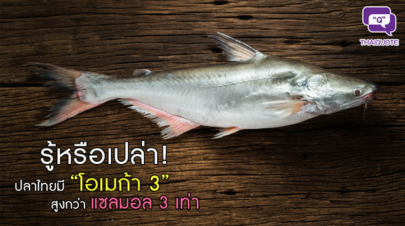 รู้หรือเปล่า ! ปลาของไทยมี “โอเมก้า 3”สูงกว่าแซลมอล 3 เท่า