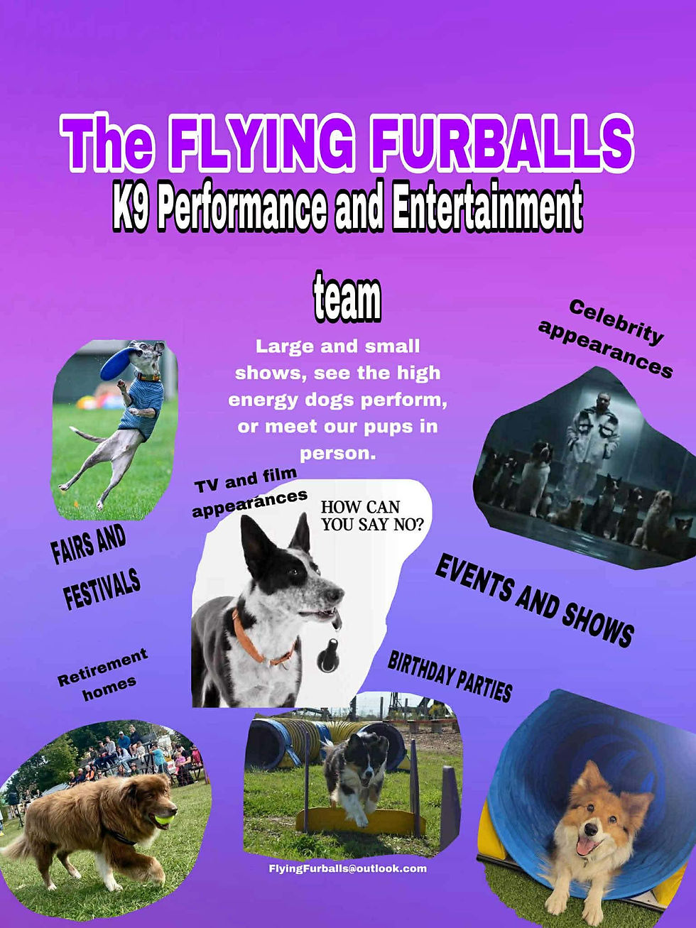 Flying Furballs Performance Team