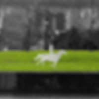 Griffintown Horse Palace