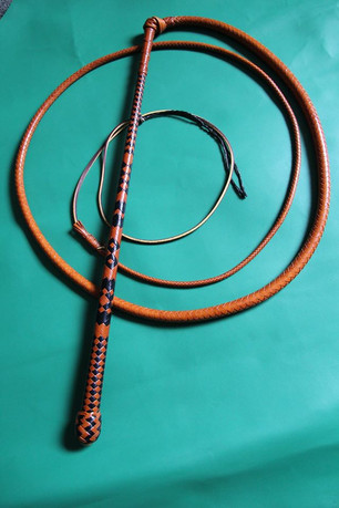 S21 Black and Tan stockwhip