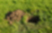AdobeStock_499457379.jpeg