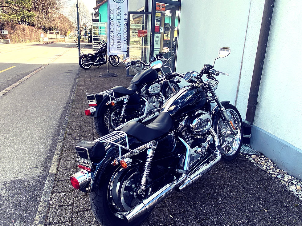 Harley Davidson Sportster, 1200, Klappenauspuff, BSL, Classic Cycles