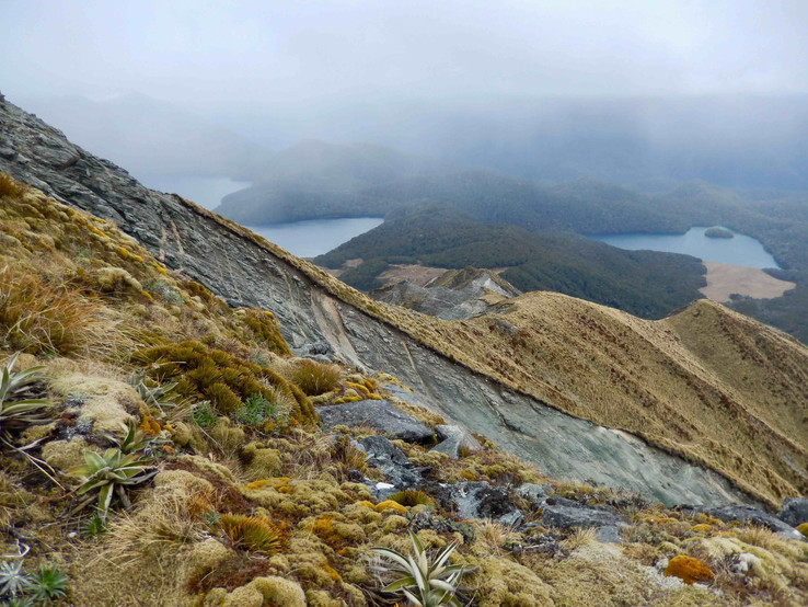 Widoki na góry, lasy i jeziora poza szlakiem Mt Burns Tarns Track w Parku Narodowym Fiordland National Park w Southland na południowej wyspie Nowej Zelandii