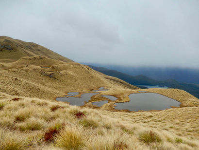 Nieznany Zakątek Fiordland National Park [Borland Road i Lake Monowai]