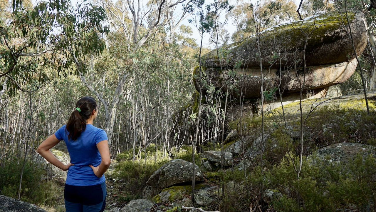 Wielkie głazy na szlaku Waterfall Walking Track w Parku Narodowym Kościuszki w NSW w Australii, turyst w otoczeniu australijskiego lasu eukaliptusowego przygląda się skałom