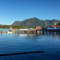 Port w Tofino, widoczny kuter rybacki, kładki i zabudowania portowe oraz zalesione góry
