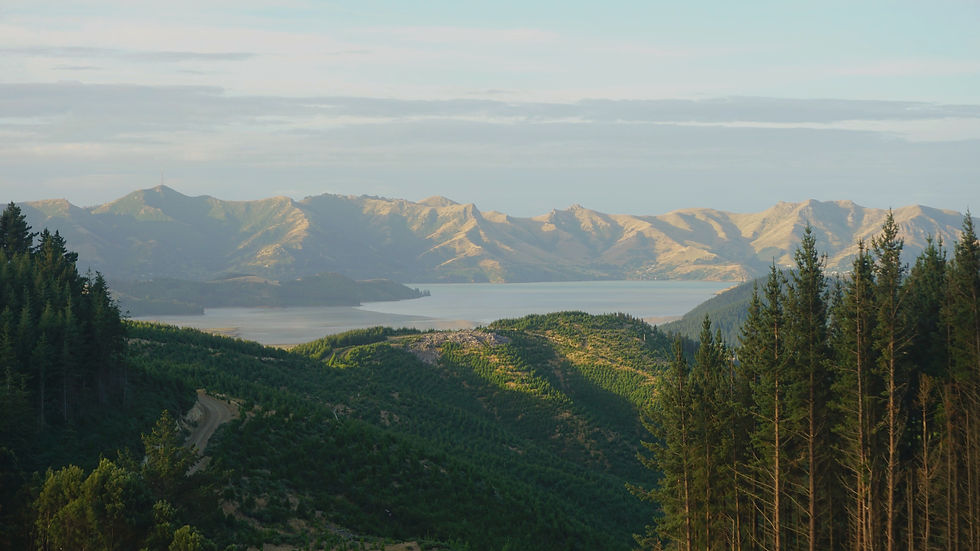 Zachód słońca nad banks peninsula i port hills w nowej zelandii
