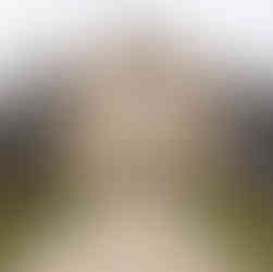 Fasada kościoła Saint Boniface Cathedral w Winnipeg w Manitobie