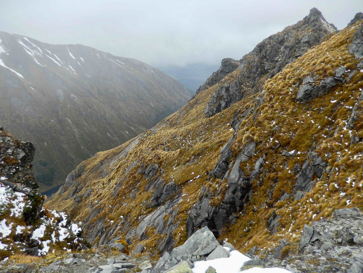Poza szlakiem Mt Burns Tarns Track w Parku Narodowym Fiordland National Park w Southland na południowej wyspie Nowej Zelandii