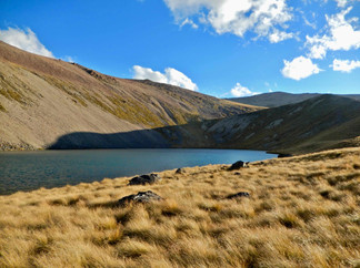 Staw górski Dumb-bell Lake w Canterbury na południowej wyspie Nowej Zelandii nieopodal Lake Ohau i miejscowości Twizel, dookoła zbocze górskie o złote trawy tussock