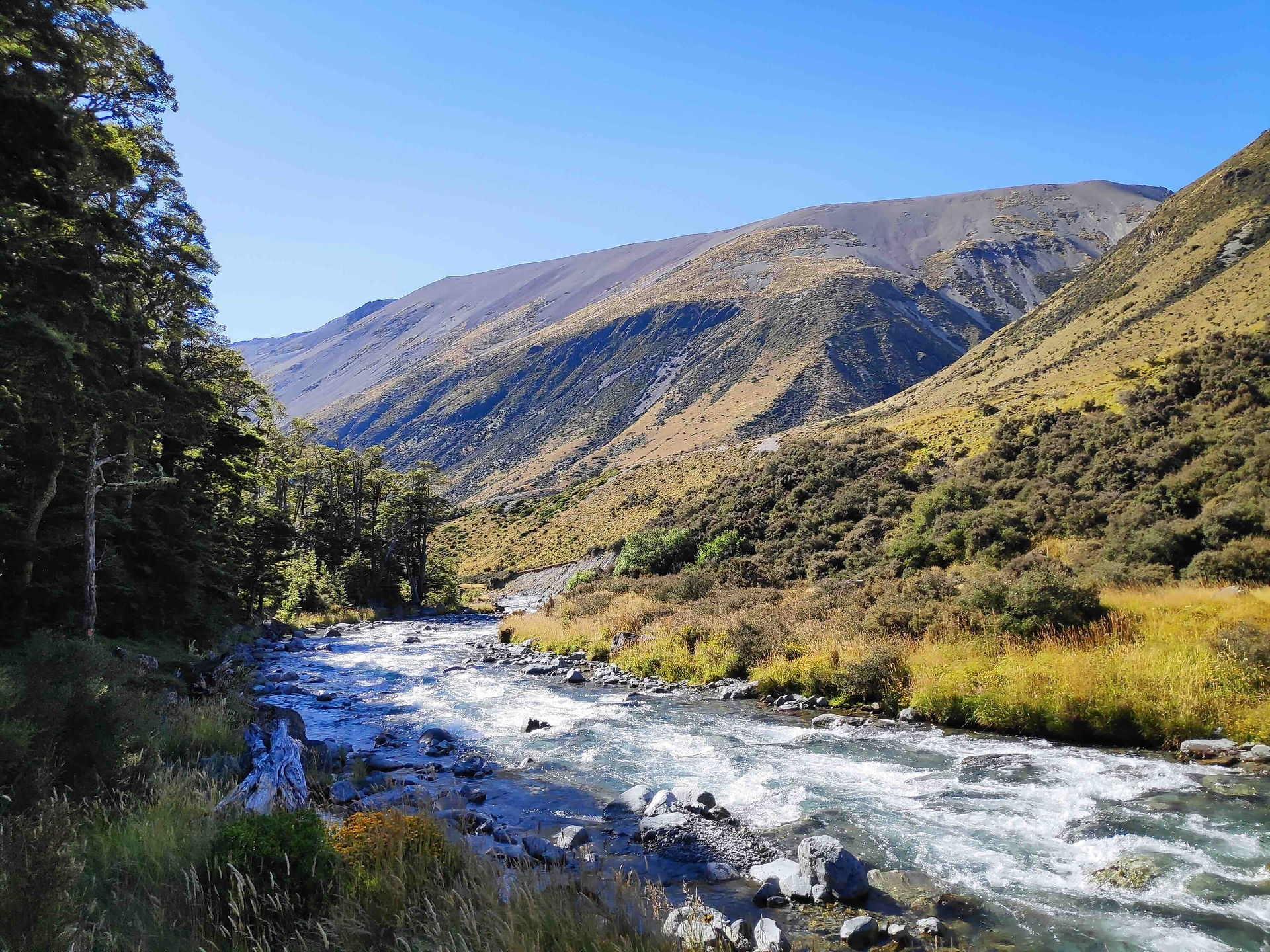 Wody Temple Stream South Branch w dolinie South Temple Valley w okolicy Lake Ohau w Canterbury na południowej wyspie Nowej Zelandii