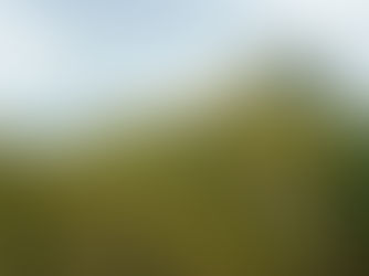 Najlepszy Szlak Coromandel [Pinnacles Walk / Nowa Zelandia]