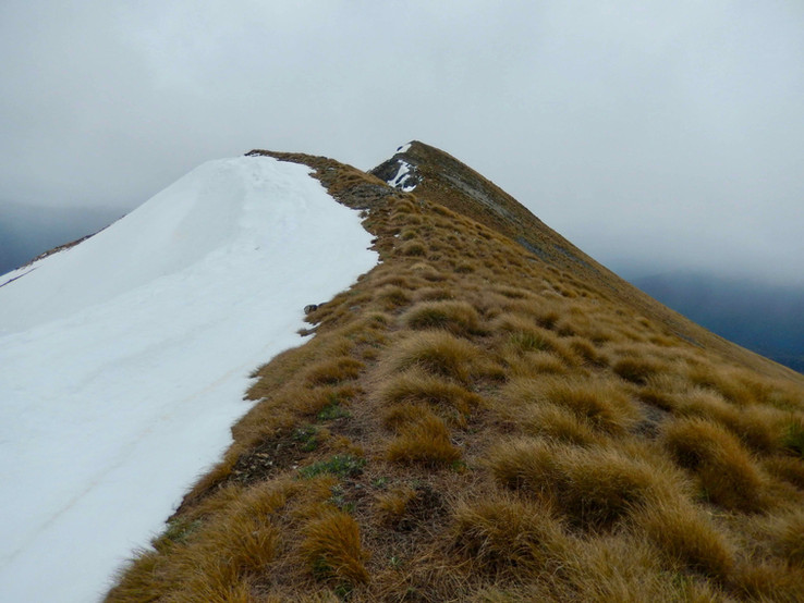 Szczyt poza szlakiem Mt Burns Tarns Track w Parku Narodowym Fiordland National Park w Southland na południowej wyspie Nowej Zelandii