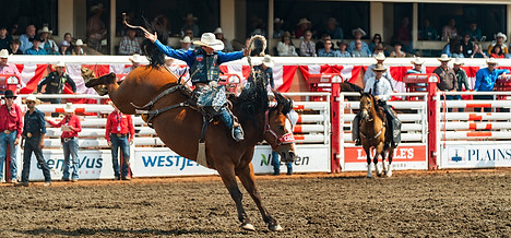 Calgary Stampede.jpg