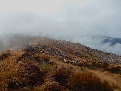 Paparoa Track Inaczej [Mt Watson Route / West Coast]