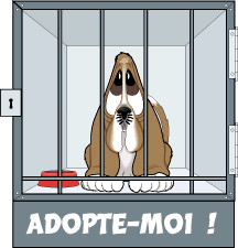 A ADOPTER