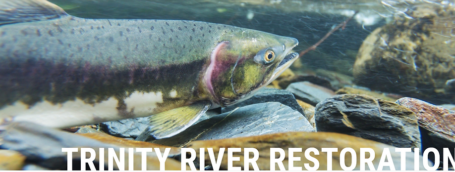 Photo of the Trinity River Restoration Program Supported by the Del Loma RV Park & Campground, Trinity County, CA
