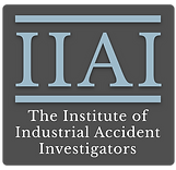 iiai-logo-full.png