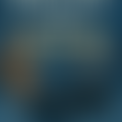 Marchés de Noël en Alsace en 1 jour : Colmar → Kaysersberg → Riquewihr avec chauffeur privé