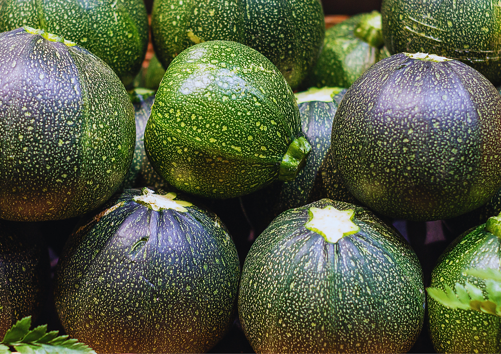 Courgettes Rondes