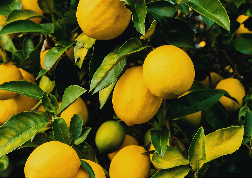 Citrons Bio